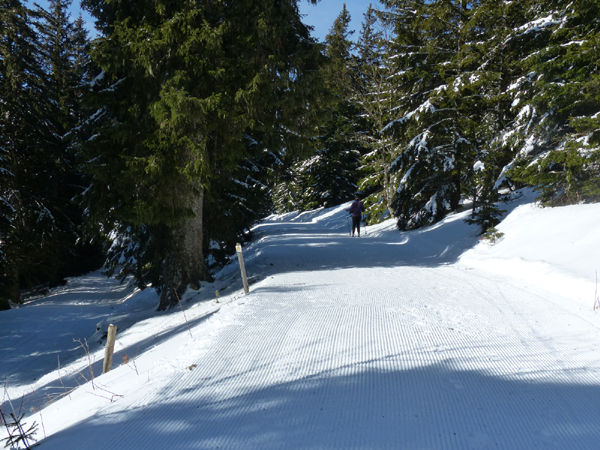 Pente vers point 3  - boucle de ski de fond / ski nordique de Thollon Les Mémises